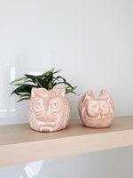 Load image into Gallery viewer, Terracotta Pot - Horned Owl
