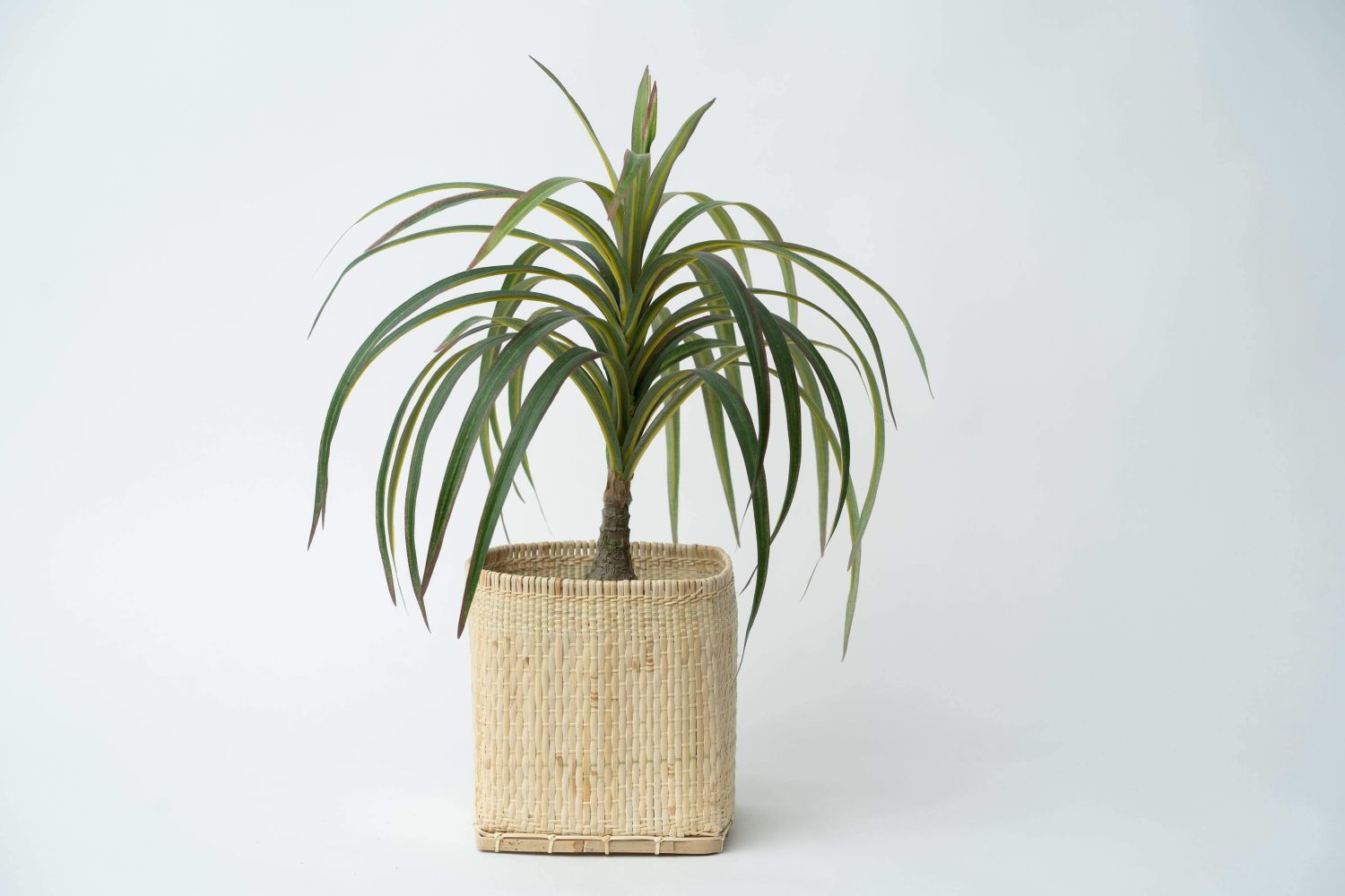 Bidayuh Storage Basket | Mix