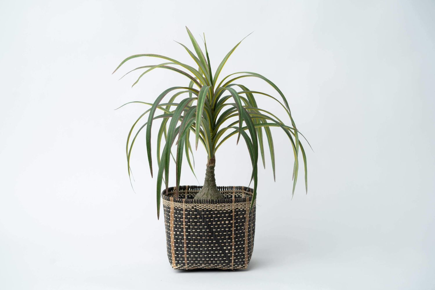 Bidayuh Storage Basket | Mix